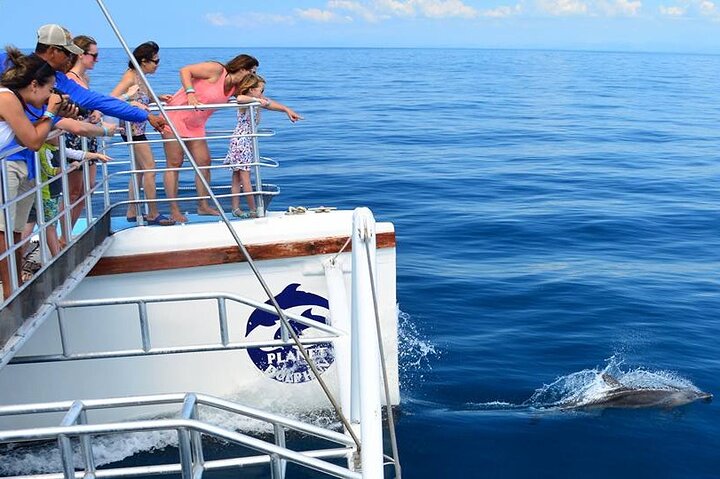 Flamingo, Guanacaste All Inclusive Catamaran Snorkel Adventure