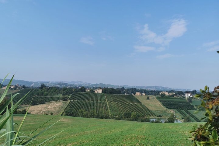 3 Hour E-bike Tour with Parmesan and Balsamic Vinegar