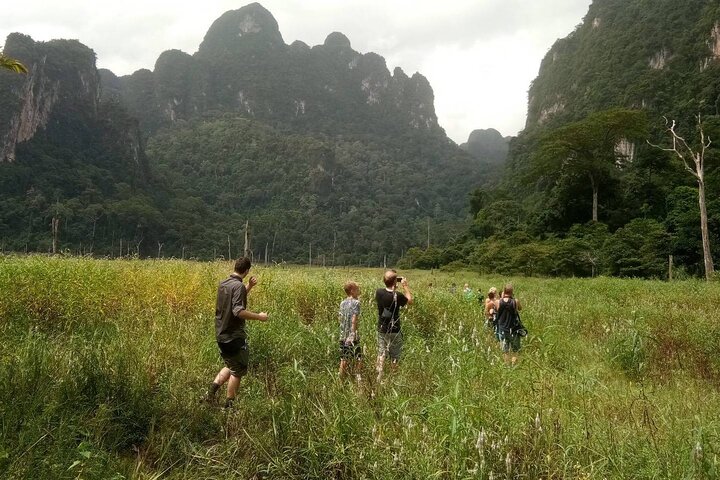 One Day Tour Khao Sok Cheow Lan Lake from Krabi