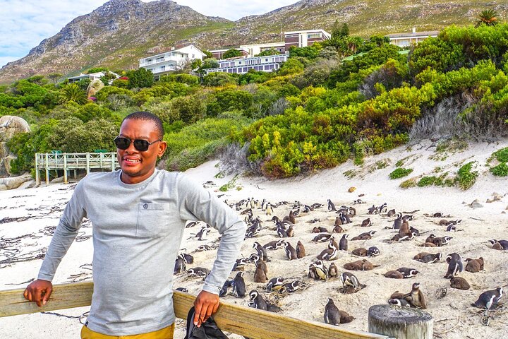 Cape Peninsula Full Day Tour in Private Car