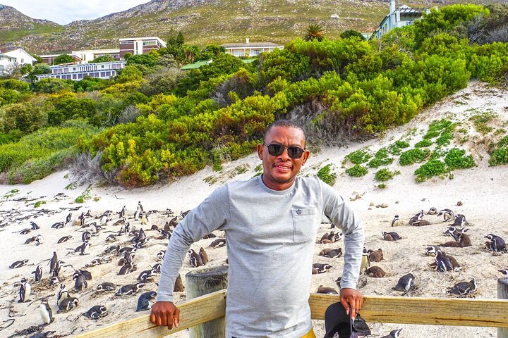 Cape Peninsula Full Day Tour in Private Car