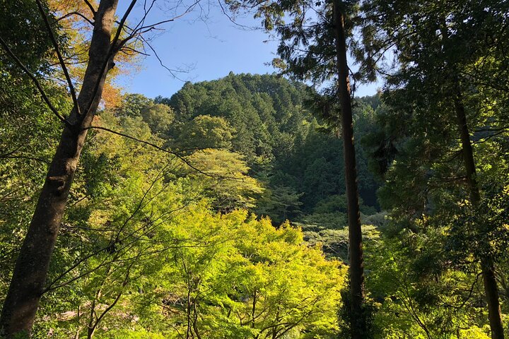 Full Day Hiking Tour at Mt.Takao including Hot Spring