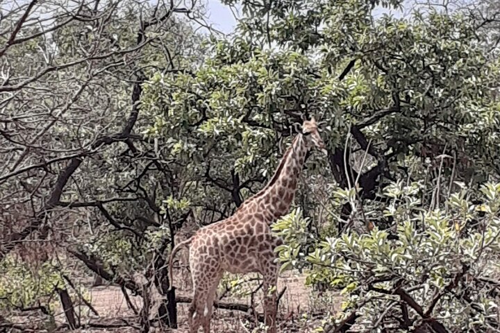 Fathala Wildlife Park