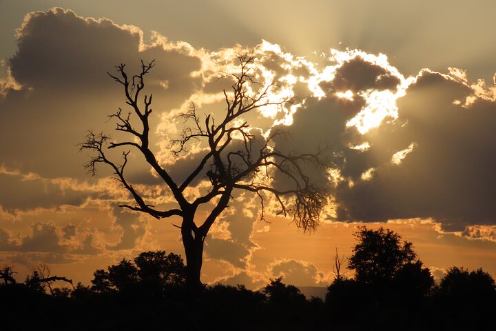Kruger National Park - Private full day Safari trip.