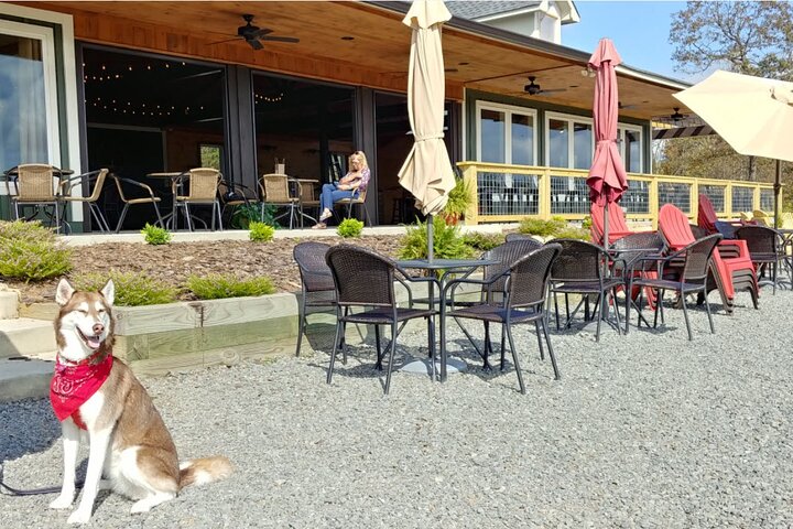 Half-Day Wine Tastings in the North GA Mountains from Atlanta