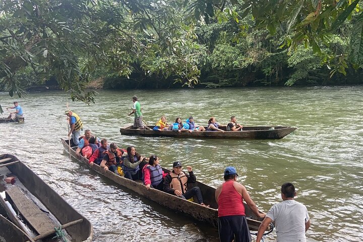 Puyo Amazon Full Day Tour | Ecuador Jungle Adventure