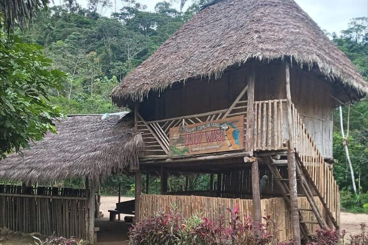 Puyo Amazon Full Day Tour | Ecuador Jungle Adventure
