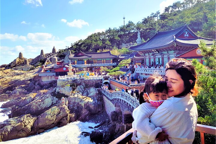 Private Busan Tour - Explore Landmarks with a Licensed Guide