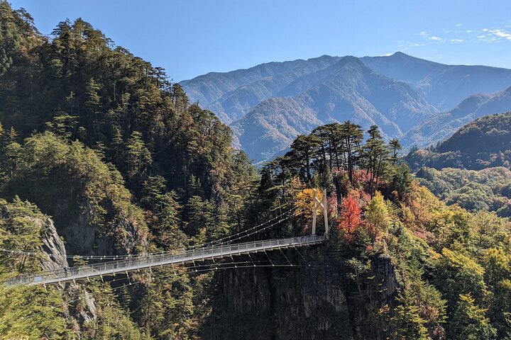 Nikko Toshogu, Edo Wonderland, and more | Licensed Guide &Driver