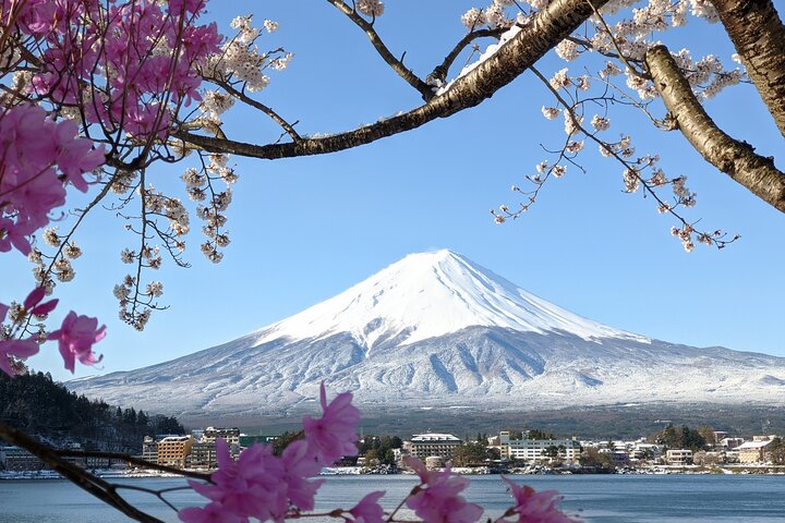 Mt Fuji Hidden Gem & Gotemba Premium Outlets with Local Driver