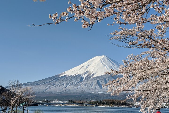 Mt Fuji Hidden Gem & Gotemba Premium Outlets with Local Driver