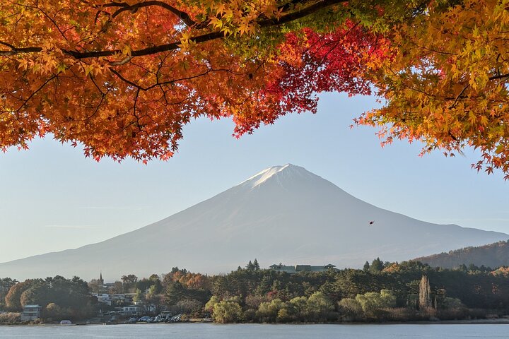 Mt Fuji Hidden Gem & Gotemba Premium Outlets with Local Driver