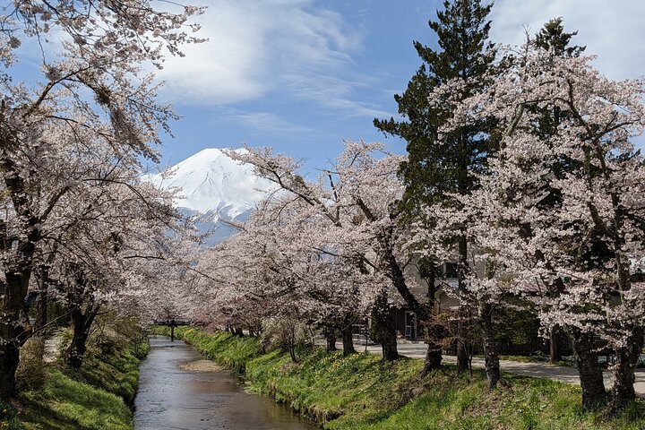 Mt Fuji Hidden Gem & Gotemba Premium Outlets with Local Driver