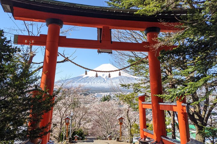 Mt Fuji Hidden Gem & Gotemba Premium Outlets with Local Driver