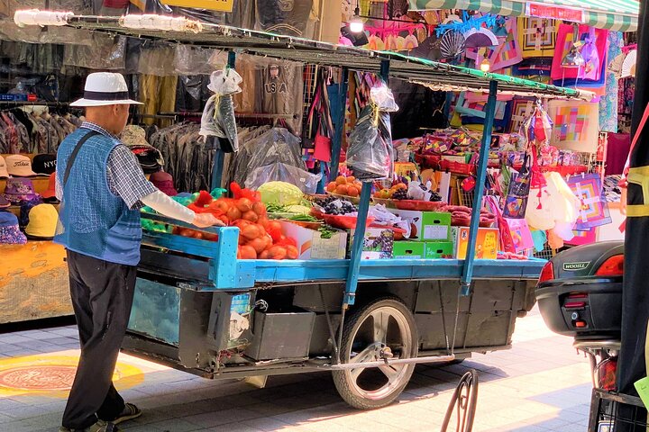 Private Busan Tour - Explore Landmarks with a Licensed Guide