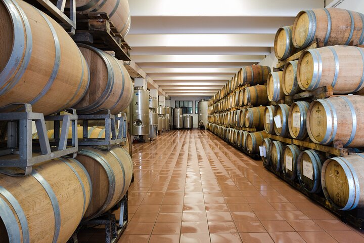 Trentino Wine Journey: Organic Vineyards & Local Delights
