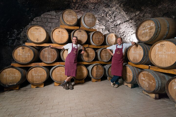 Trentino Wine Journey: Organic Vineyards & Local Delights