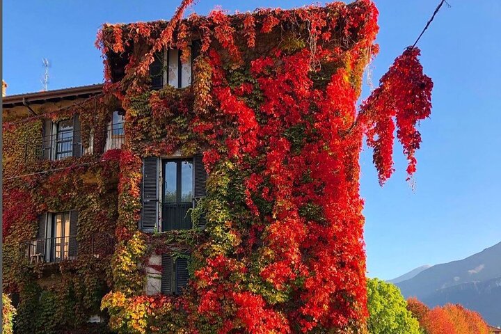 Lake Como & Bellagio Day Trip with Boat Cruise from Milan
