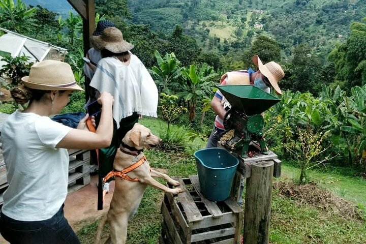 Private Coffee Tour in Jardín Antioquia