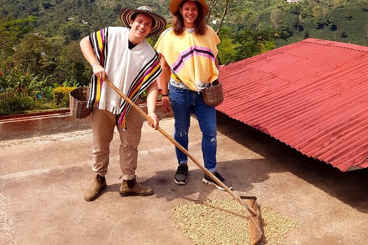Private Coffee Tour in Jardín Antioquia