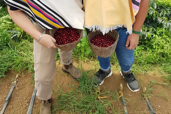 Private Coffee Tour in Jardín Antioquia
