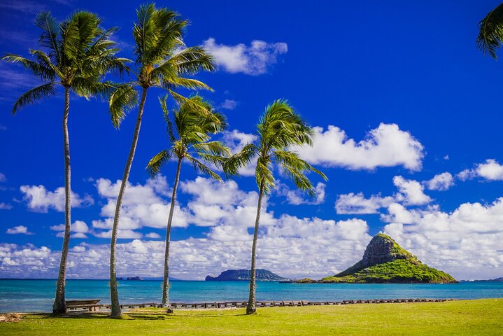 Oahu: Grand Tour Around Island with Snorkeling