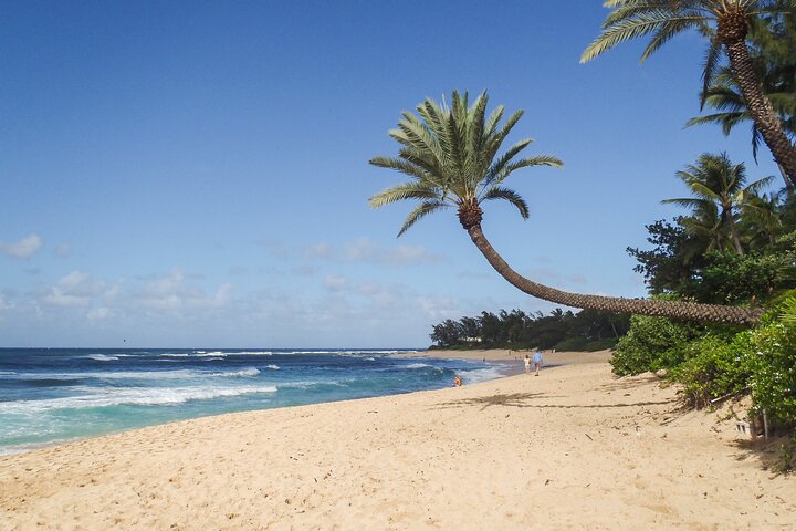 Oahu: Grand Tour Around Island with Snorkeling