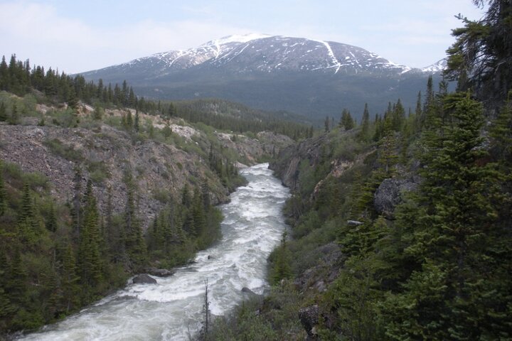 Summit Experience & Yukon Suspension Bridge Tour