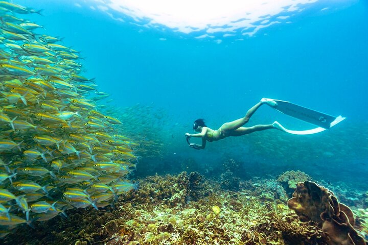 Ko Tao: Vintage Boat - Small Group Snorkeling Day Trip with Meals