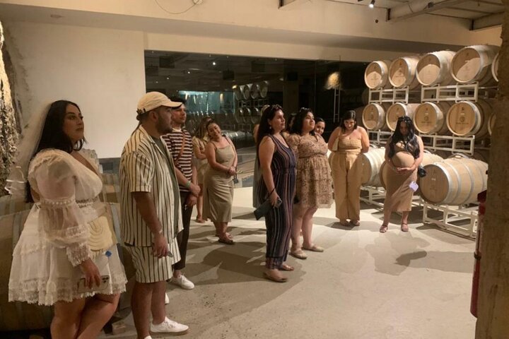 Wine tasting Valle de Guadalupe & Casa Frida