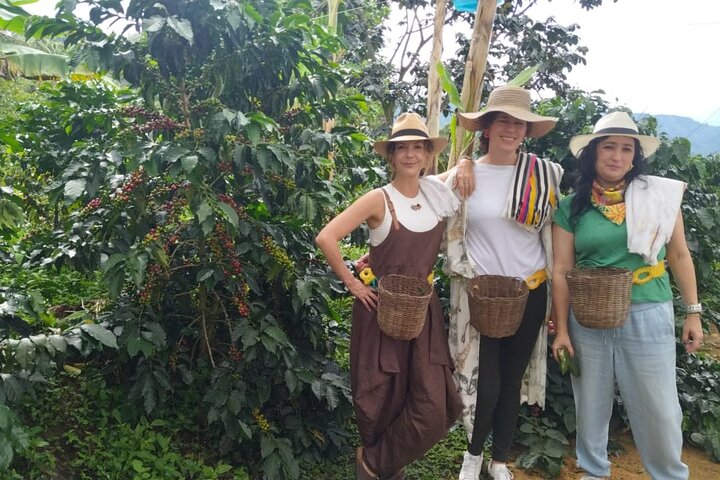 Private Coffee Tour in Jardín Antioquia