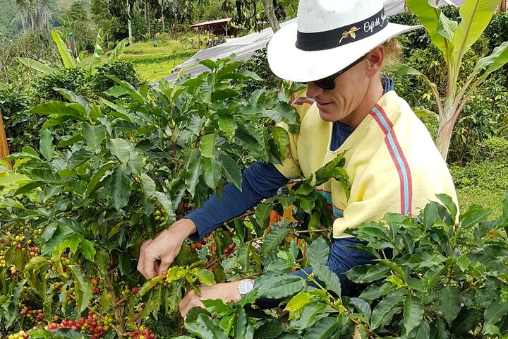 Private Coffee Tour in Jardín Antioquia