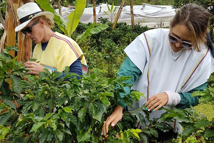 Private Coffee Tour in Jardín Antioquia