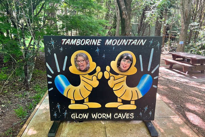 Deluxe Springbrook & Mt Tamborine Glow Worms and famous Skywalk