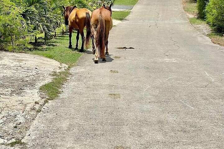 Private Island Tour - Sint Maarten