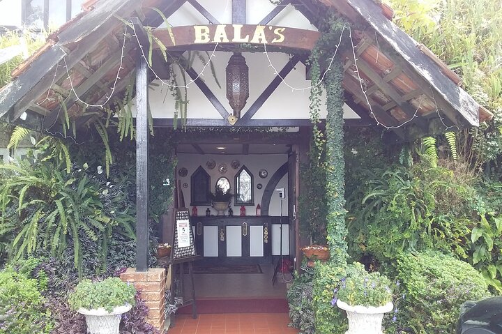Cameron Highlands Adventure & Full Day Tour