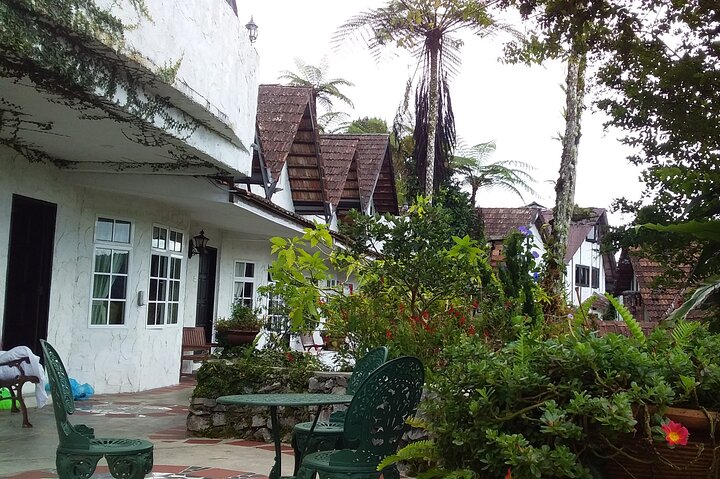 Cameron Highlands Adventure & Full Day Tour