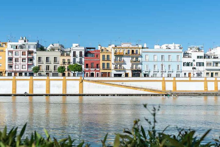 Private 8-hour tour to Seville from Cadiz with port pick up