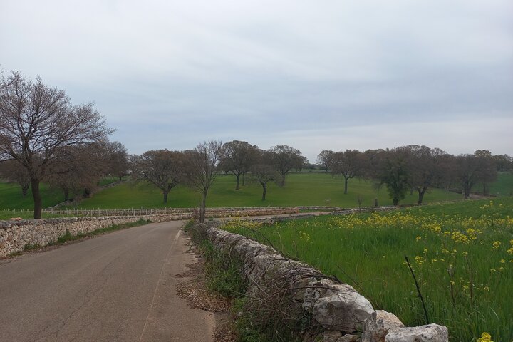 Tour Ebike Trulli Alberobello e Locorotondo