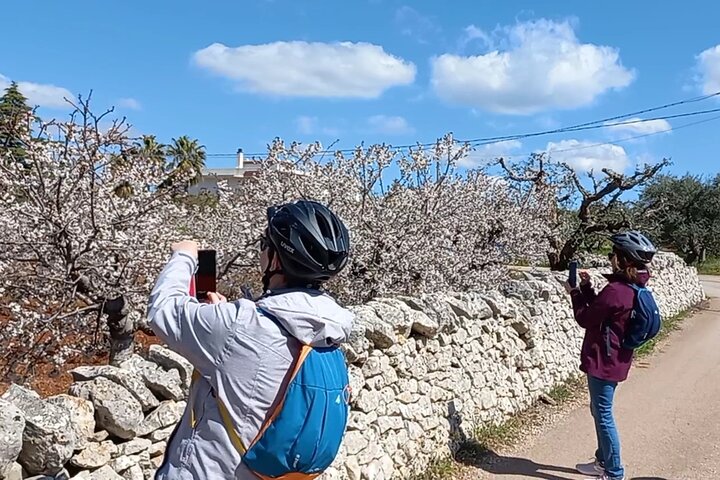 Tour Ebike Trulli Alberobello e Locorotondo