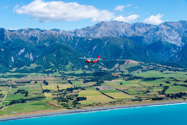 Kaikōura Whale Watching Scenic Flight (40 Minutes)