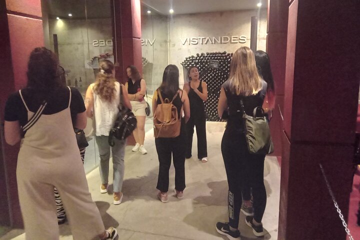 Excursión de 3 bodegas y 1 olivícola con degustación