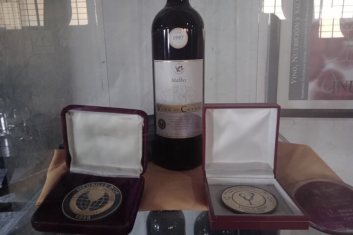 Excursión de 3 bodegas y 1 olivícola con degustación