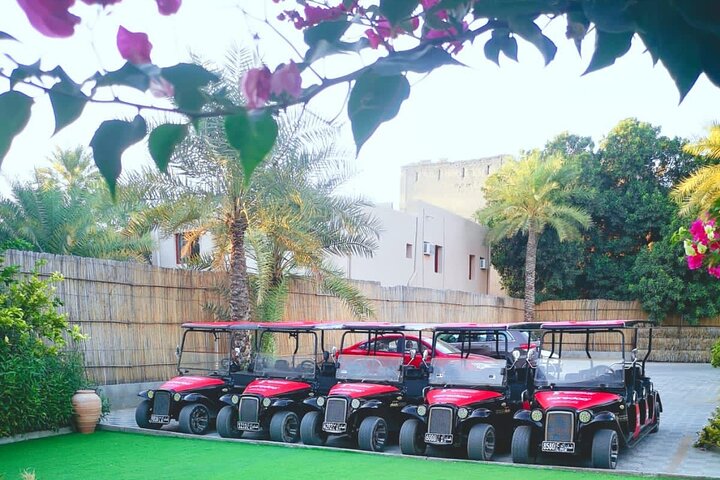 Heritage private Tour by classic carts
