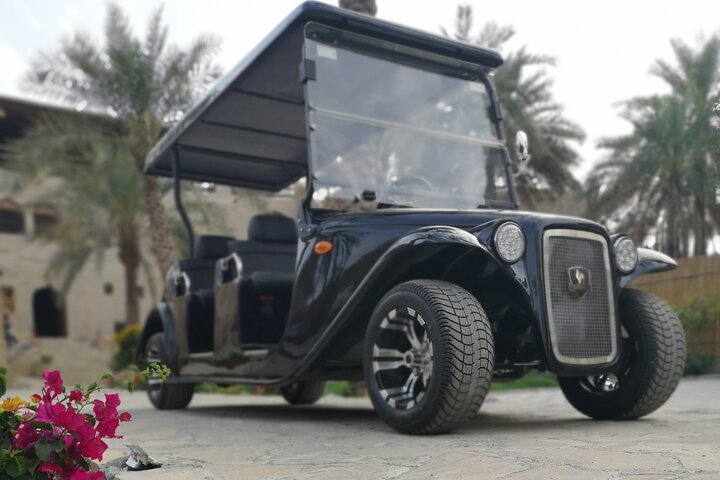 Heritage private Tour by classic carts