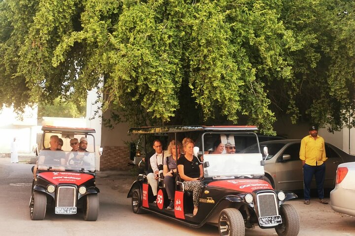 Heritage private Tour by classic carts
