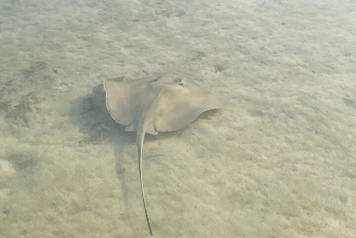 Private boat tour (3 islands tour)