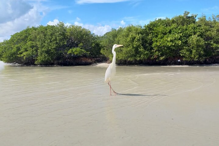Private boat tour (3 islands tour)