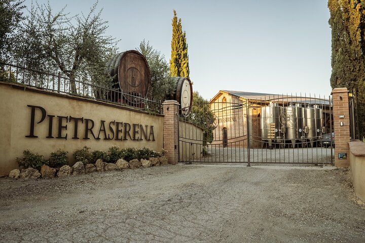 5 Wine Tastings in San Gimignano