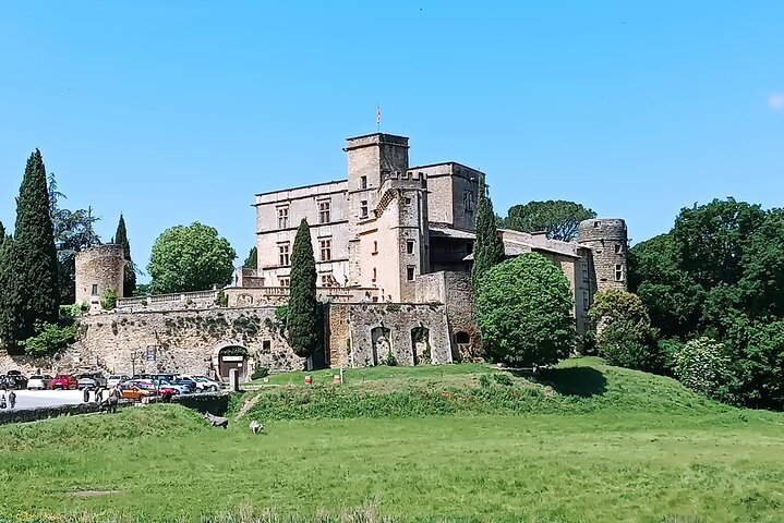 Private Tour Perched Villages of Luberon & (LAVENDER JUNE/JULY)